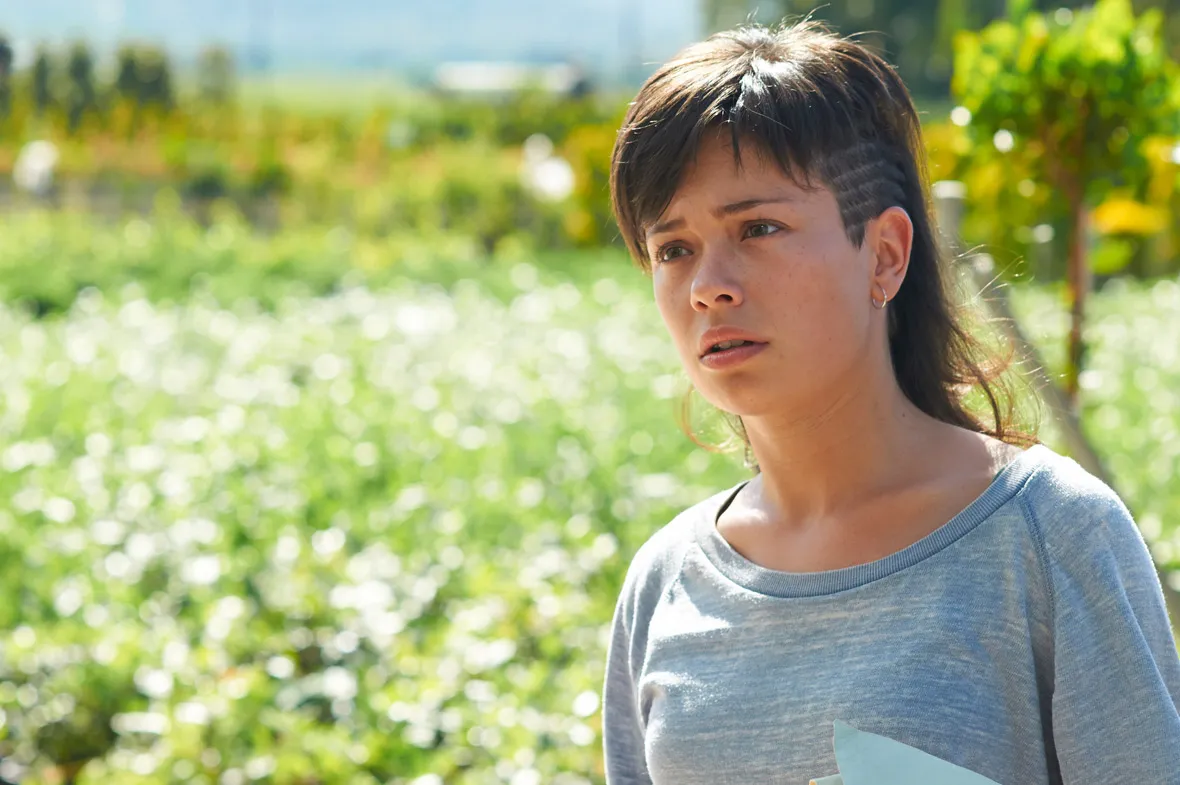 El Olivo, 2016. Dir. Icíar Bollaín